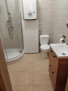 Ένα μπάνιο στο Apartament na Poddaszu