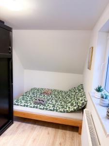 a bed in a room with a pillow on it at Enklawa Pana Pszczoły in Szczytna