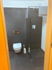 Un baño con inodoro y ducha de cristal. en Palace Inn, en Jíloviště