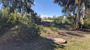 a frisbee laying on the ground in a field at Silverwood 17th Hole Retreat in Yarrawonga