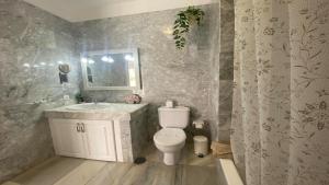 un bagno con un water, un lavandino e uno specchio di Apt. El Guirre Nº 3 a Valle Gran Rey Altre 39 foto