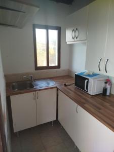 Una cocina con un fregadero y un microondas en una encimera. en Estudio la matilla, en Palos de la Frontera