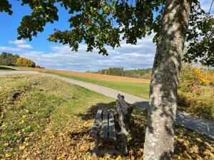 a park bench next to a tree next to a path at Appartement an der Steinach in Nagold