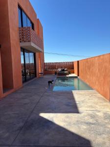 a dog standing next to a swimming pool in a building at Prince Albert Tall House in Prince Albert