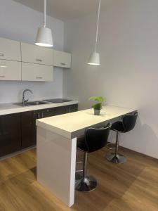 Η κουζίνα ή μικρή κουζίνα στο CenterPoint Apartment