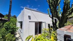 a white house with a tree in front of it at Mimosa Cottage in Cape Town