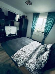 Craiova International AirportMagnolia apartament K&A的一间带床、电视和窗户的卧室