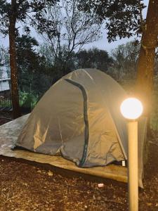 Φωτογραφία από το άλμπουμ του Golden Grove Treetops σε Pooppara