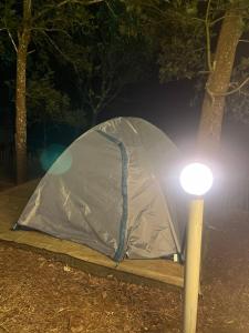 Φωτογραφία από το άλμπουμ του Golden Grove Treetops σε Pooppara