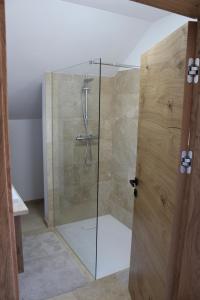 a shower with a glass door in a bathroom at Panorama Loft Bad Aussee in Bad Aussee