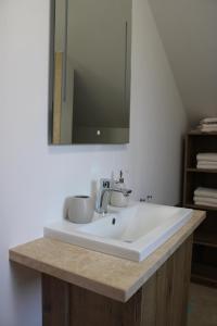 a bathroom with a sink and a mirror at Panorama Loft Bad Aussee in Bad Aussee