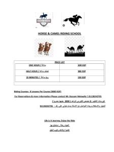 eine Eintrittskarte für eine Reitschule für Pferde und Kamele in der Unterkunft VIP Apartments & Aquapark, Free WIFI in Shram El Sheikh in Sharm El Sheikh