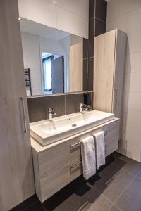 a bathroom with a sink and a mirror at Het Maashotel in Broekhuizen