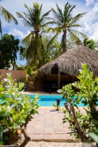 威廉斯塔德Oasis Haven Curacao的有游泳池和棕榈树的度假村 更多5张照片