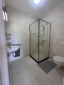 威廉斯塔德Oasis Haven Curacao的带淋浴、马桶和水槽的浴室