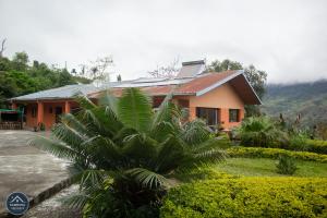 een huis met een palmboom ervoor bij Kambana Résidence in Ranomafana +26 foto's