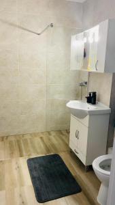 een badkamer met een wastafel, een toilet en een douche bij Boulevard apartament in Sighetu Marmaţiei +24 foto's