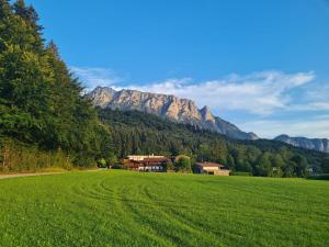 ein Feld mit grünem Gras und einem Berg im Hintergrund in der Unterkunft Kaiserhaus Holiday Apartments in Ebbs