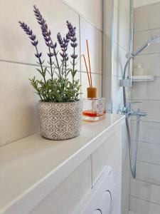 a bathroom with a vase with purple flowers on a counter at Rose rooms on the island of Rab in Rab +152 photos