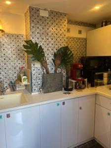 une cuisine avec des armoires blanches et une usine sur le comptoir dans l'établissement PARADISE in IR YAMIM, à Netanya