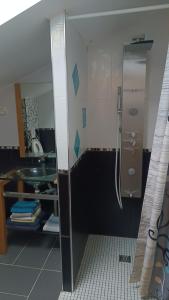 Rabat-les-Trois-SeigneursMaison Rabat les 3 seigneurs的浴室配有淋浴和洗手池