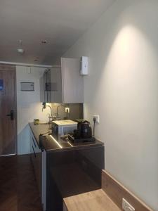 Η κουζίνα ή μικρή κουζίνα στο Studio apartment in Suntwilight near to expomart