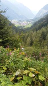Paesaggio naturale nelle vicinanze dell'affittacamere