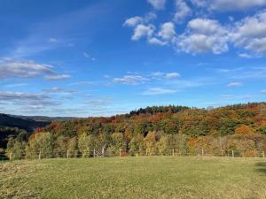 a field with a fence and trees in the background at Chalet am Biggesee in Olpe