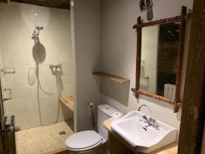 a bathroom with a shower and a toilet and a sink at Chalet Suvay in La Chapelle-dʼAbondance +34 photos