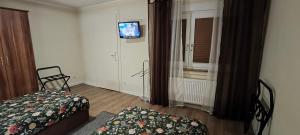 une chambre avec un lit et une télévision au mur dans l'établissement Die Hotelalternative Michael Treiber 5, à Solingen