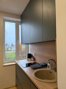 Gallery image of Green apartment in Jelgava