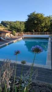Πισίνα στο ή κοντά στο Domaine de Calabel +22 φωτογραφίες