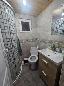 a small bathroom with a toilet and a sink at Casuta Din Poveste Gold Craiova in Craiova