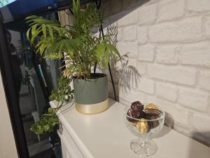 a plant in a vase on a shelf with a glass bowl at Casuta Din Poveste Gold Craiova in Craiova +11 photos