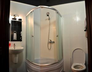 a bathroom with a shower and a toilet and a sink at Exclusive apartment at the in Mykolaiv