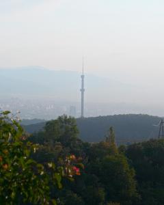 Φυσικό τοπίο κοντά σε αυτό το διαμέρισμα