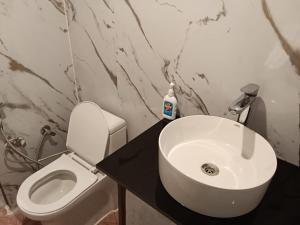 ein Badezimmer mit einem weißen Waschbecken und einer Toilette in der Unterkunft TTN - The Trekker's Nest in Jyotirmath + 30 Fotos