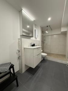 Smart Home Bad Camberg - moderne Ferienwohnung في باد كامبيرغ: حمام أبيض مع حوض ومرحاض +33 صورة