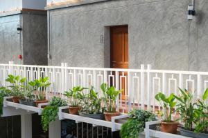 Balkón nebo terasa v ubytování Momento House