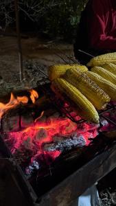 Un grupo de maíz cocinándose en una parrilla en Simple home, en Madaba 43 fotos más