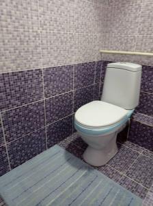 ein Bad mit einem WC in einer gefliesten Wand in der Unterkunft Гостевой дом Маман in Maman
