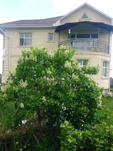 ein Haus mit einem Baum davor in der Unterkunft Гостевой дом Маман in Maman