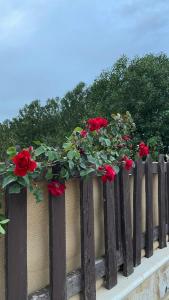 Una valla de madera con rosas rojas. en Simple home, en Madaba
