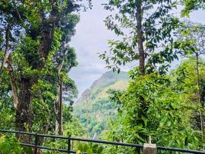 Příroda nedaleko kempu