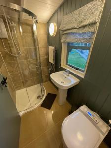 a small bathroom with a toilet and a sink at Cornwall Shepherds Hut - Hot Tub & Cosy Log Burner in Saint Day