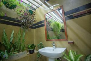 Un baño con lavabo, espejo y plantas. en Sleeperwood Villa, en Unawatuna 61 fotos más