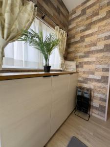 a room with a counter with a plant on top at 久松の宿 in Miyako-jima +4 photos