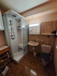 a bathroom with a shower and a toilet and a sink at Résidence le château Kaysersberg in Kaysersberg