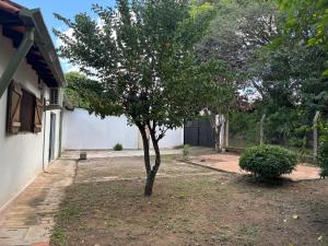 Ảnh trong thư viện ảnh của City Apartment 6 con jardín ở Caacupé