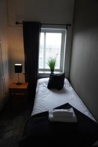 une chambre avec une fenêtre et une plante sur le lit dans l'établissement Vannebodagatan, à Frövi